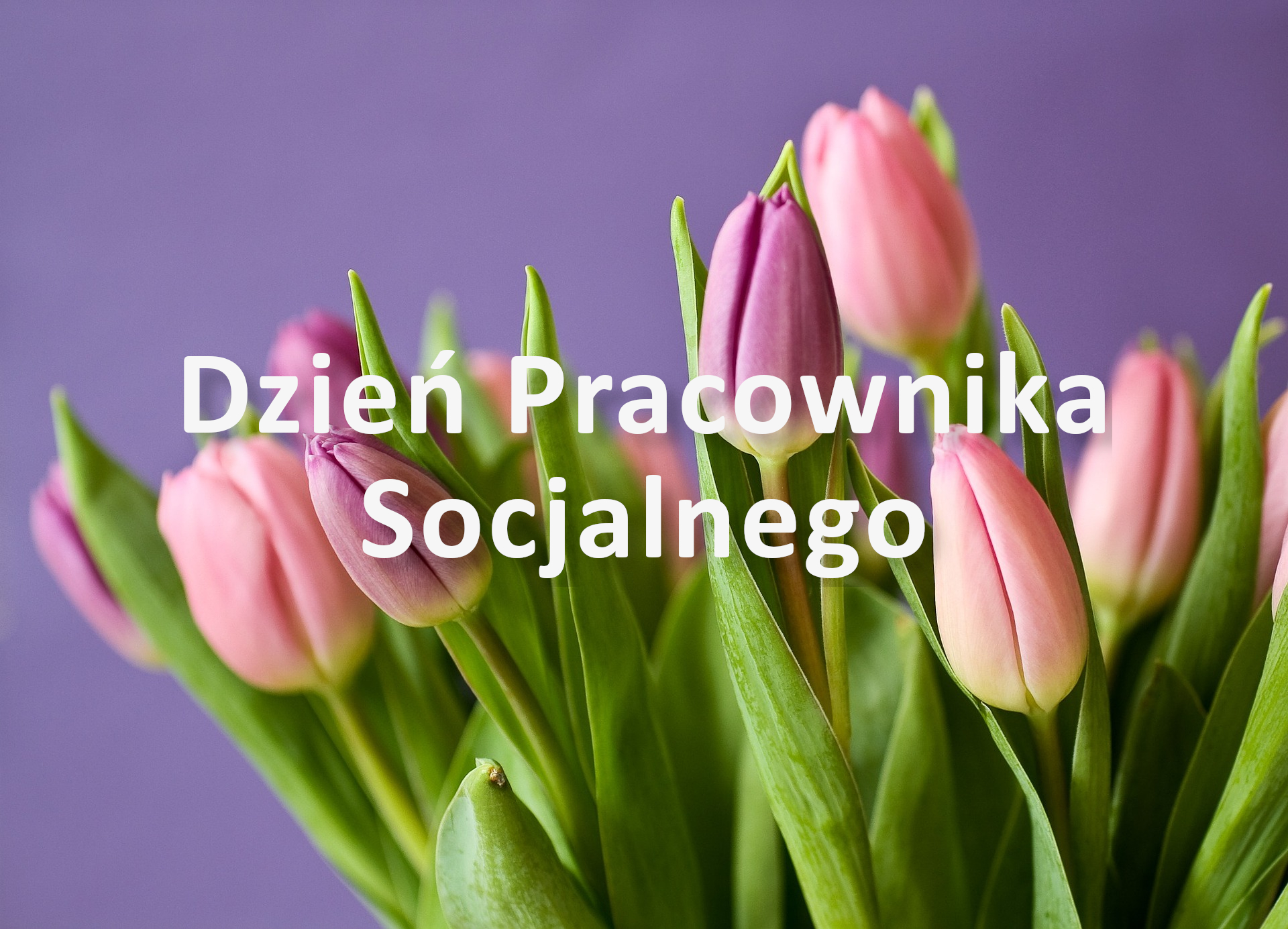 Zdjęcie Dzień Pracownika Socjalnego 2023